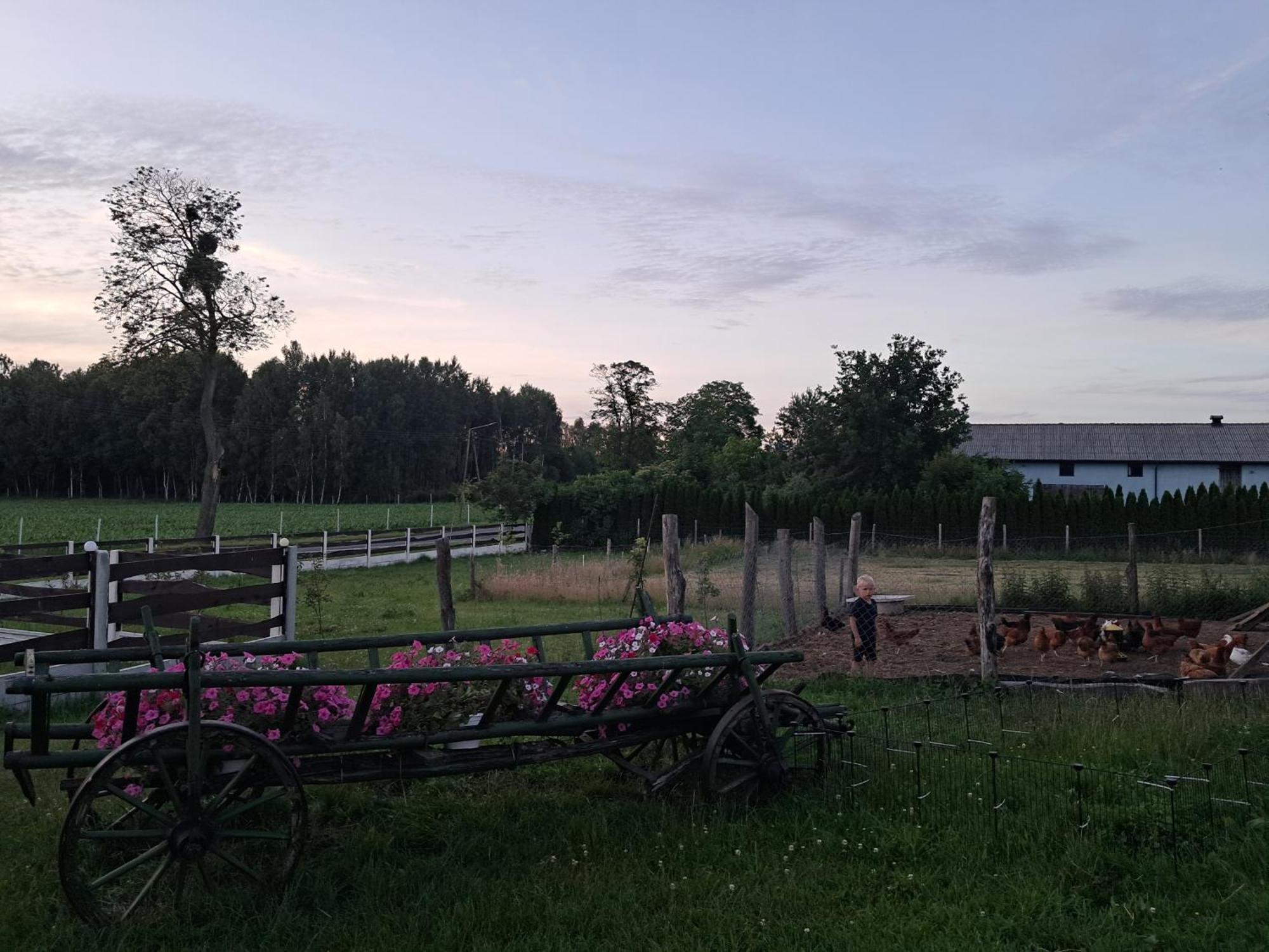Agroturystyka Malary Pogodki Exterior foto